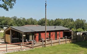 Haldon Forest Lodge